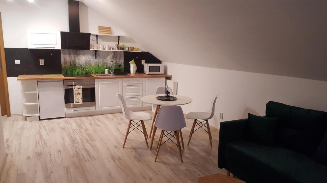 Apartamenty - Pod Wierzbami Dwikozy Zewnętrze zdjęcie