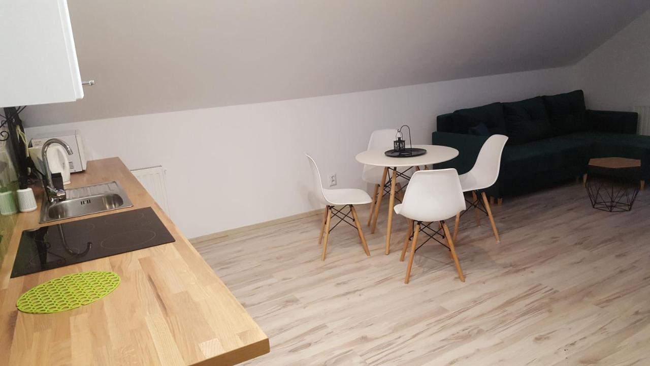 Apartamenty - Pod Wierzbami Dwikozy Zewnętrze zdjęcie