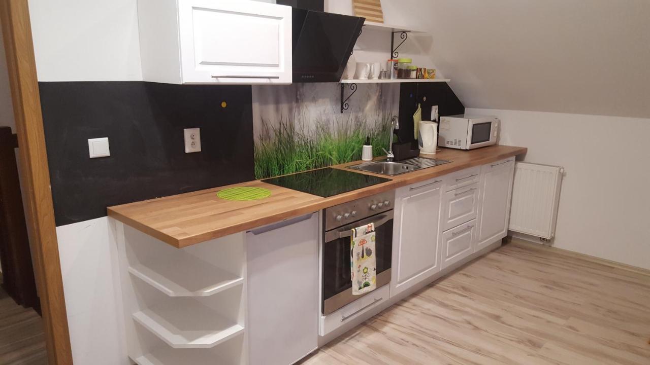 Apartamenty - Pod Wierzbami Dwikozy Zewnętrze zdjęcie