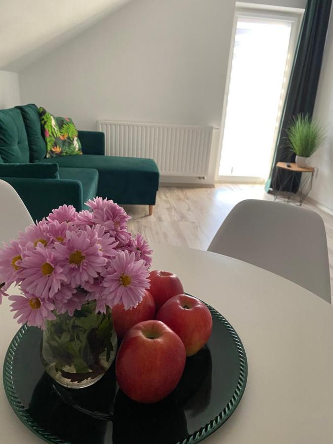 Apartamenty - Pod Wierzbami Dwikozy Zewnętrze zdjęcie